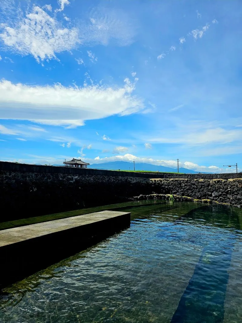 [제주 조천] 바다앞 사계절자쿠지 넓은마당 투룸 #제주돌담#평상 24