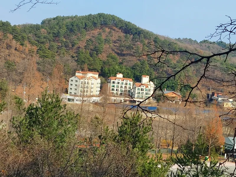[Sejong] A restaurant with a view of the arboretum. Little Forest with the Geumgang River and the Hwangto Forest Road. 22