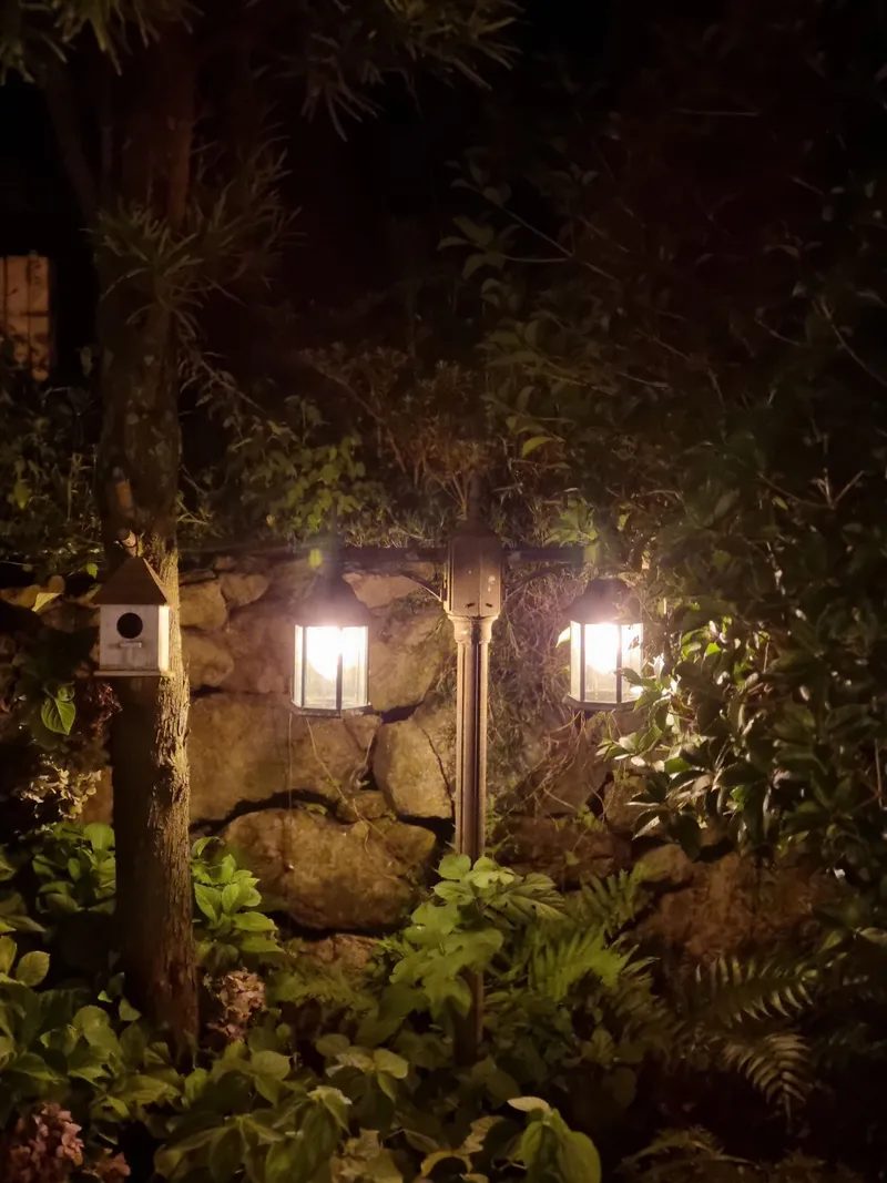 [Aewol, Jeju] Accommodation with cypress trees and healing #Pets allowed 2 separate building 16