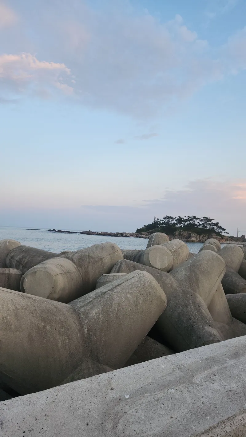 [Pohang] Pension 1st floor 101 with ocean view 4