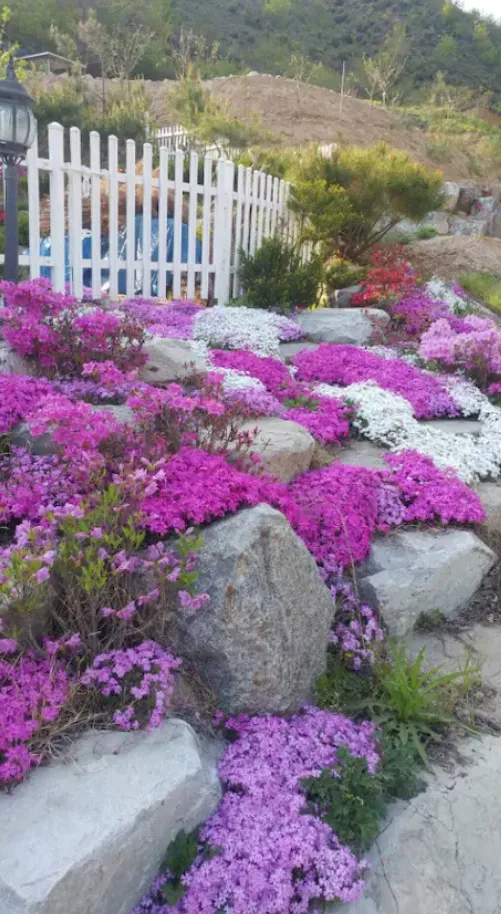 [Chuncheon] Mountain BBQ and Fireplace Two-room Detached House #Vivaldi #OceanWorld 3