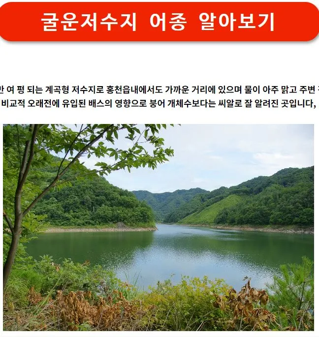 [강원 홍천] 홍천W팬션 9D 12