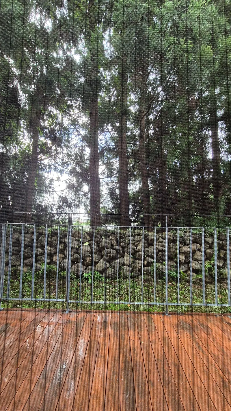 [Topyeong-dong, Seogwipo] (7 days or more) STAY Forest of Silence #1st floor terrace #Forest #Cedar stone wall forest [Seogwipo] 38