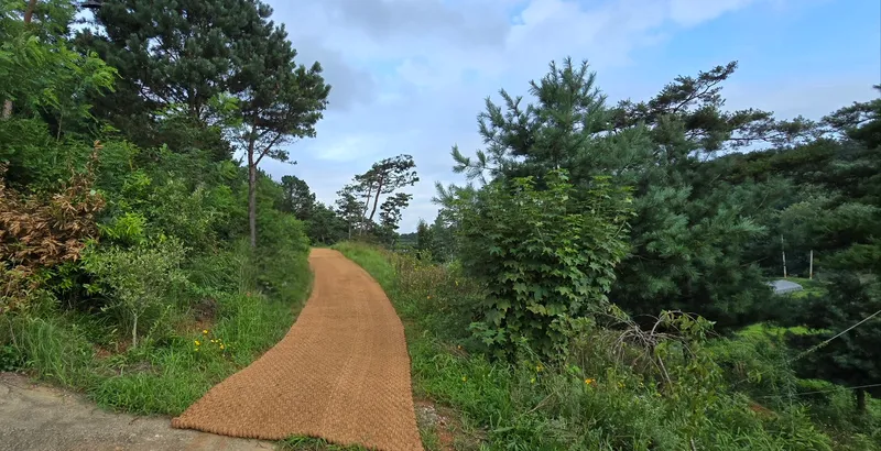 [Buyeo][Buyeo, South Chungcheong Province] A private space all your own amidst nature! A detached house in the forest 39