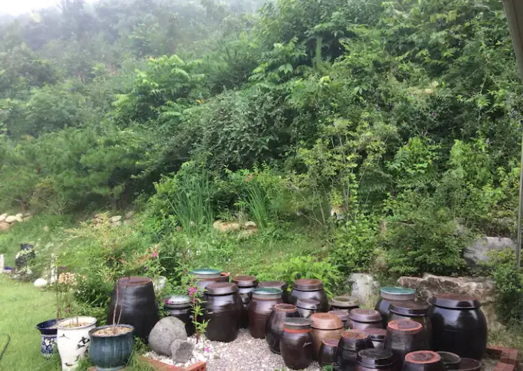 [Chuncheon] Mountain BBQ and Fireplace Two-room Detached House #Vivaldi #OceanWorld 9