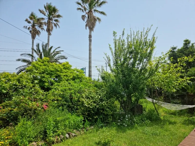 [Hallim, Jeju] Private accommodation with a garden and yard where you can feel the seasons 17