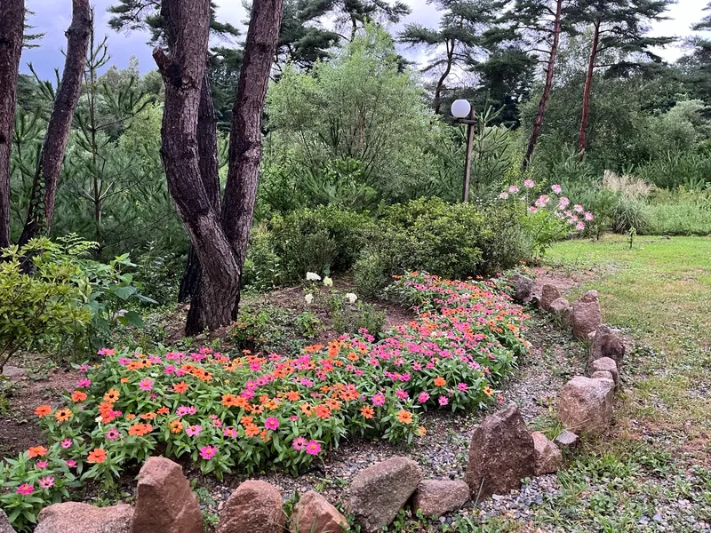 [Pyeongchang] Wildflower Friends_Bongpyeong Forest Complex One-Room 101 16