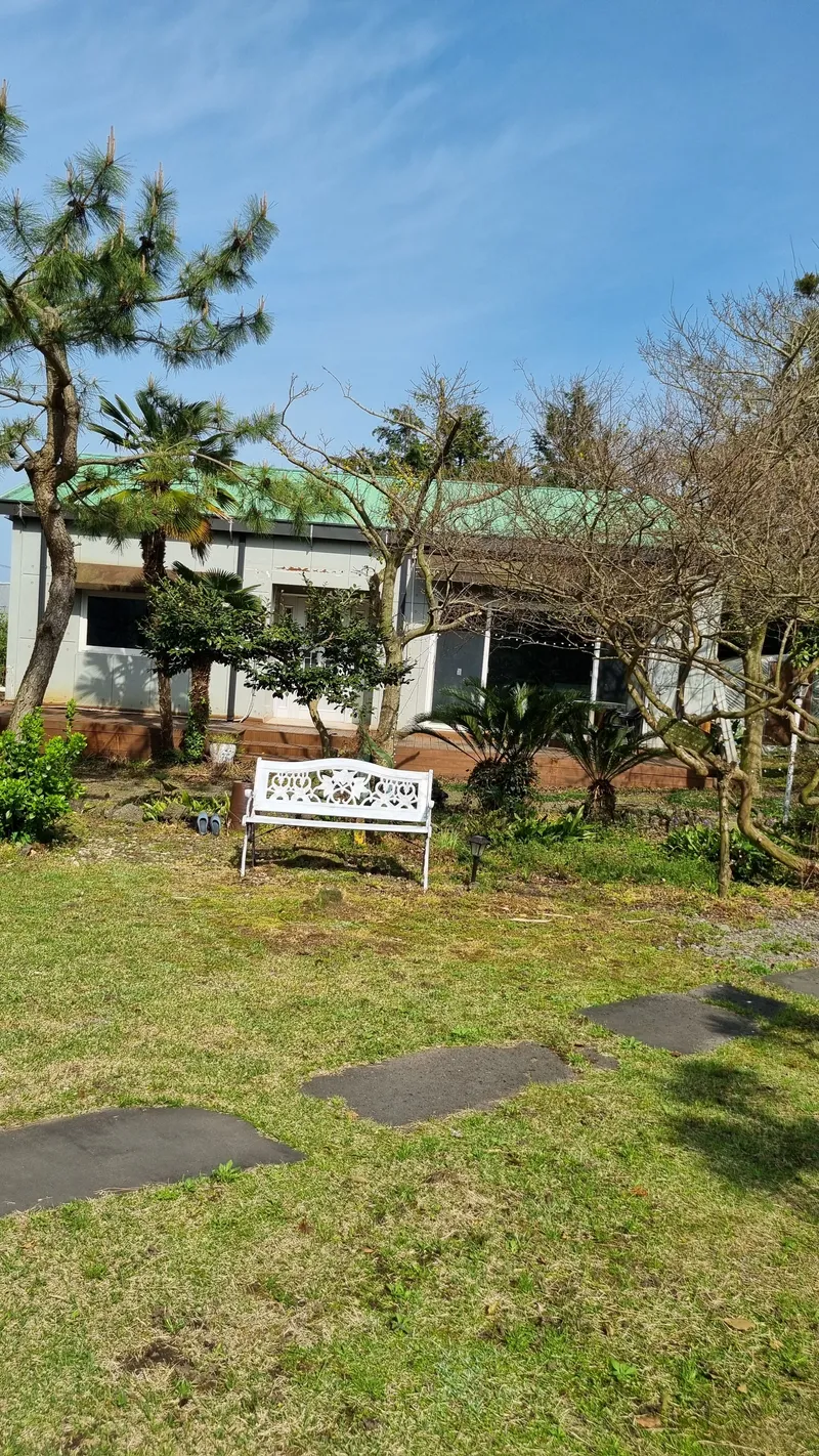 [제주 조천] 대흘샬레 #바농실 11