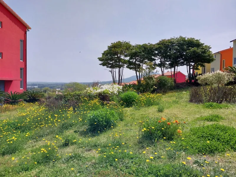 [제주 조천] 이국적인 스위스마을 로제 202호 4