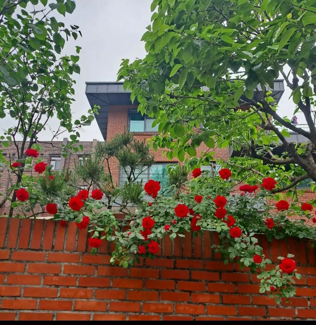 Buam-dong Mountain View Two-Bedroom House