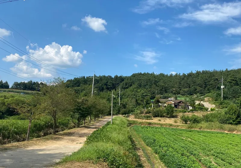 [Buyeo][Buyeo, South Chungcheong Province] A private space all your own amidst nature! A detached house in the forest 6