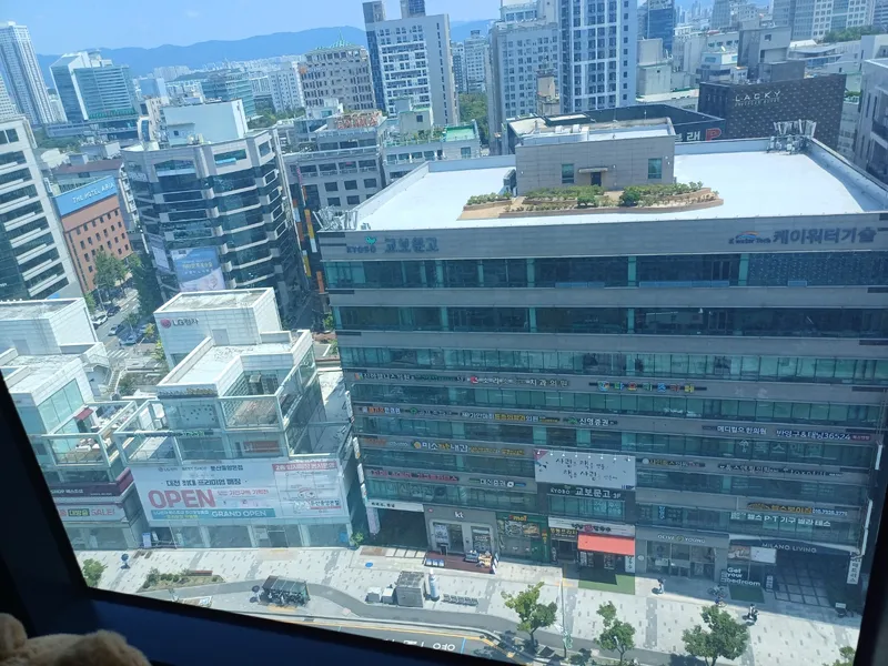 [대전 서구] 둔산동 타임월드 옆 시티뷰 스테이 11