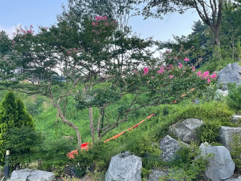[충남 태안] 가로림만을 뒤로한 아늑한 소나무숲속의 2층 전원주택 9