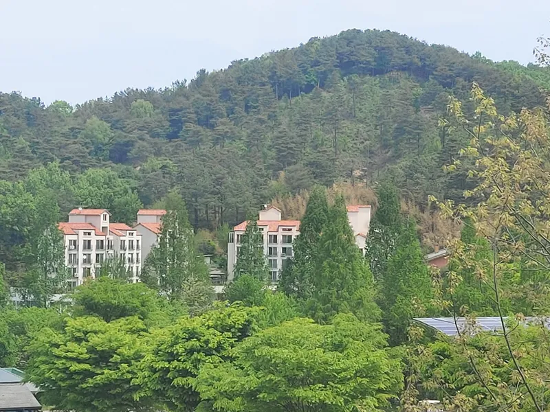 [Sejong] A restaurant with a view of the arboretum. Little Forest with the Geumgang River and the Hwangto Forest Road. 23