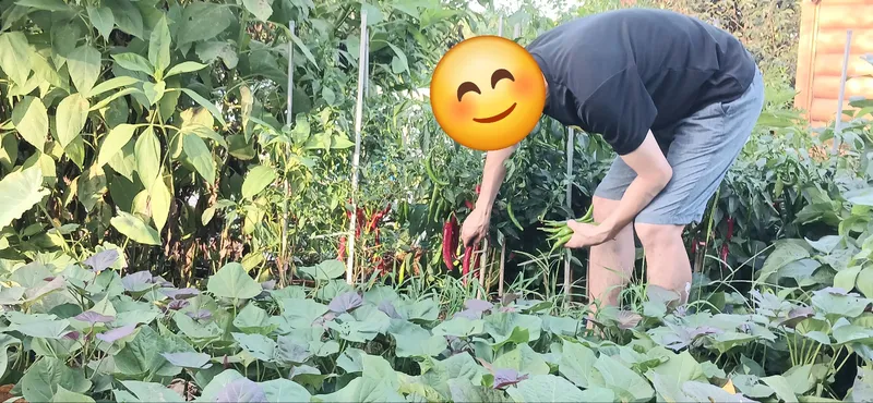 [충남 당진] #가성비#텃밭#숲세권#독채#복층#전원주택#시골살기 5