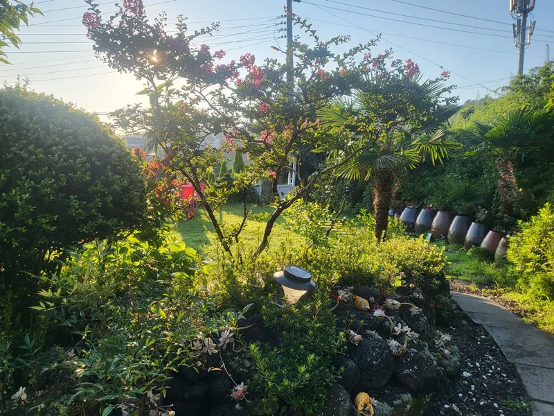 [Aewol, Jeju] Healing accommodation with sunrise and jacuzzi #Newly built accommodation Dalset 62