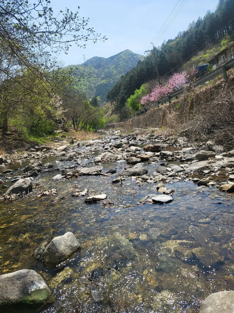 [경기 가평] 계곡바로  앞  잔디마당이있는 독채 감성주택 36