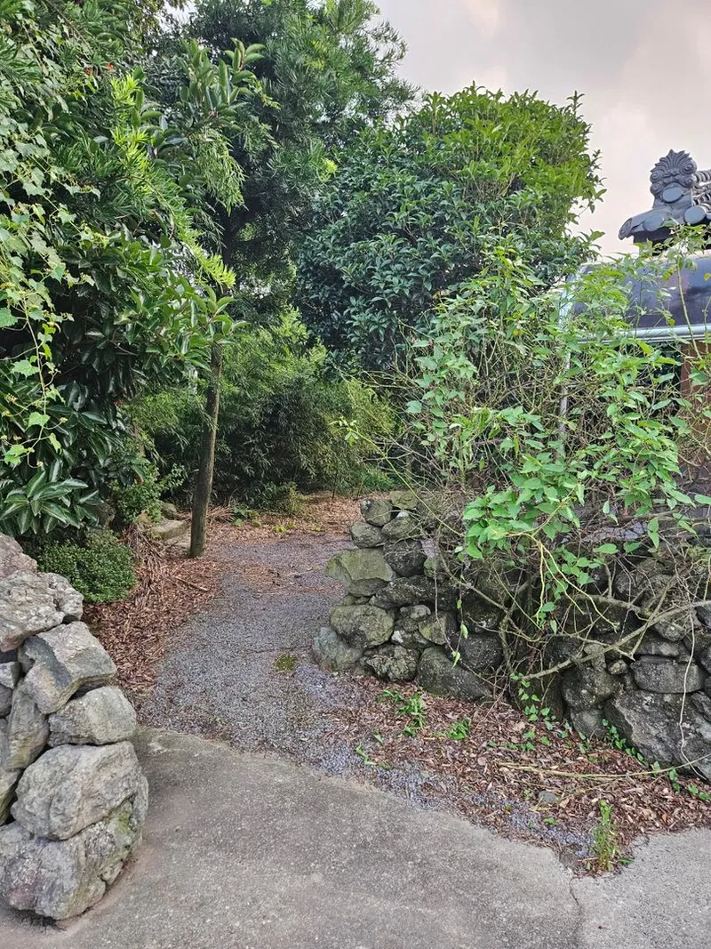 [Aewol, Jeju] Accommodation with cypress trees and healing #Pets allowed 2 separate building 30