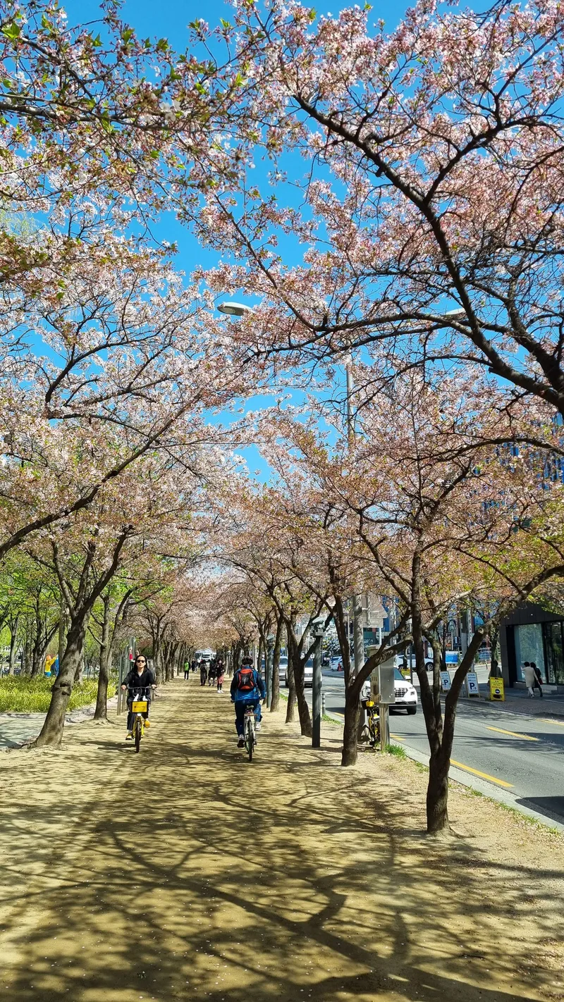 [Suseong, Daegu] Dongdaeguro Suseongmot Three-Room Apartment/1 Minute to Food Alley/Free Parking/Netflix/Daegu Travel 29
