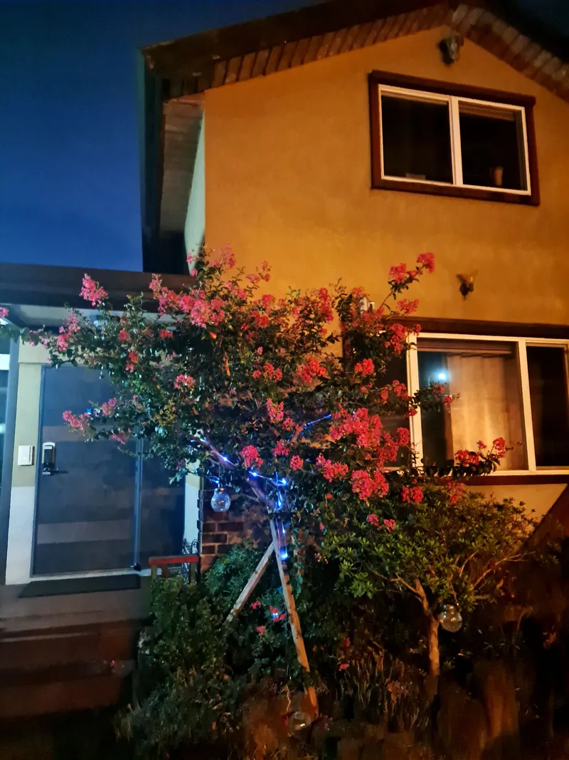 [Haean-dong, Jeju] A cozy family kids' private pension (duplex) that only I want to know about, with easy access to all four directions near the airport 42