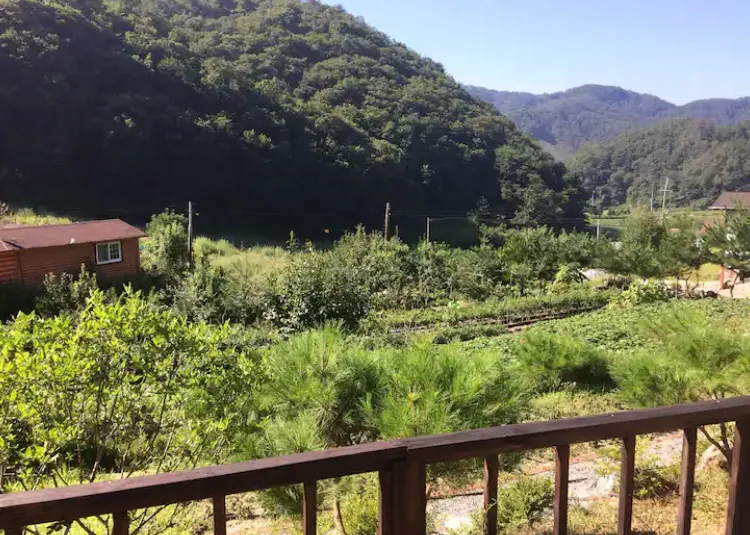 [Chuncheon] Mountain BBQ and Fireplace Two-room Detached House #Vivaldi #OceanWorld 11