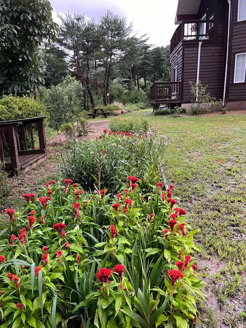 [Pyeongchang] Wildflower Friends_Bongpyeong Forest Complex One-Room 101 13