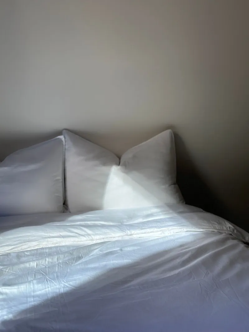 [Jung-gu, Seoul] In the heart of Myeongdong, a place where modernity and elegance coexist 3