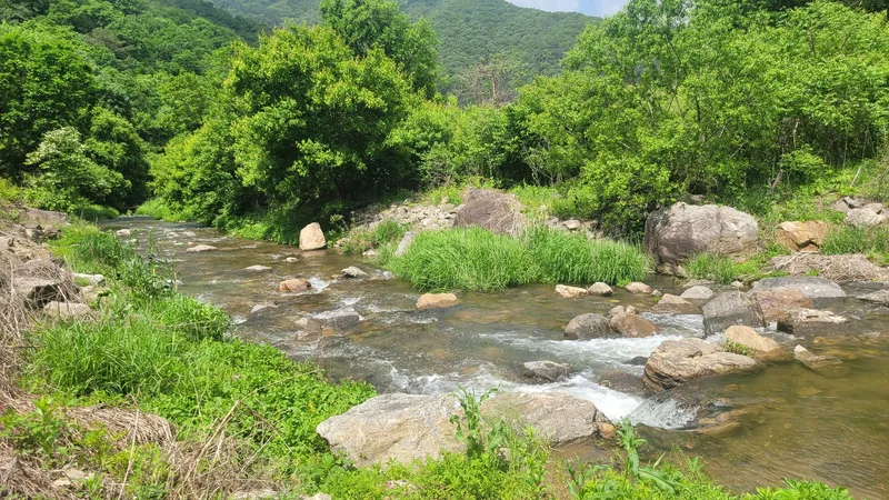 [경기 가평] 프라이빗한 100평 마당이 있는 투룸주택 35