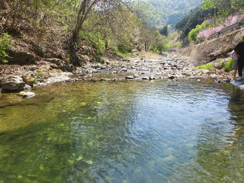 [경기 가평] 계곡바로  앞  잔디마당이있는 독채 감성주택 41