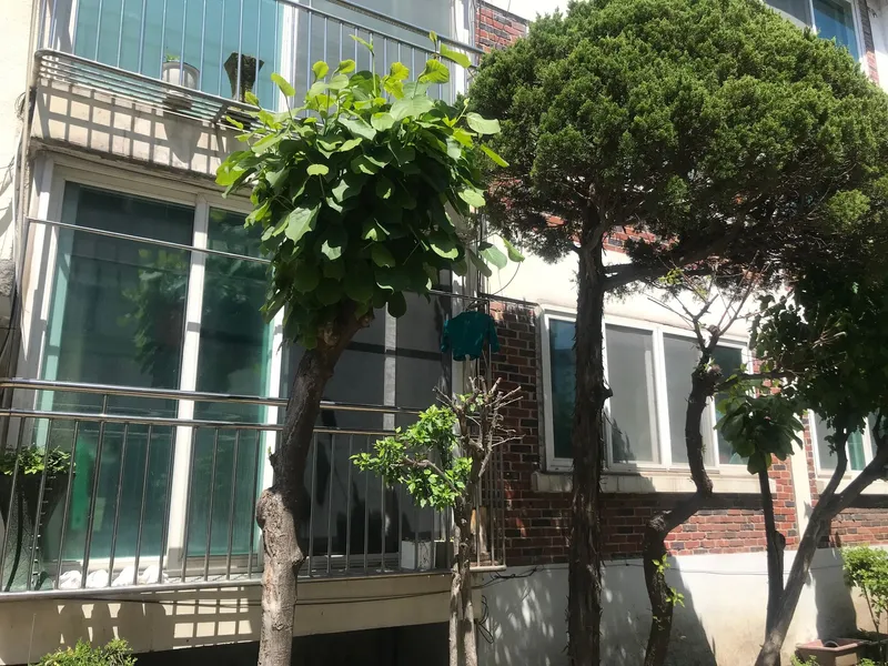[서울 종로] 구기동 집전체,조용,편리한교통,무료주차,북한산,문화예술공간 20