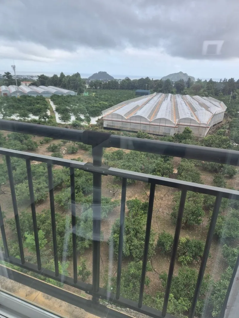 [Sanghyo-dong, Seogwipo] Solaire The Terrace Village 24
