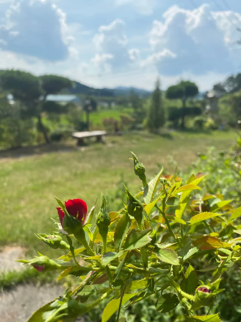 [Buyeo][Buyeo, South Chungcheong Province] A private space all your own amidst nature! A detached house in the forest 36