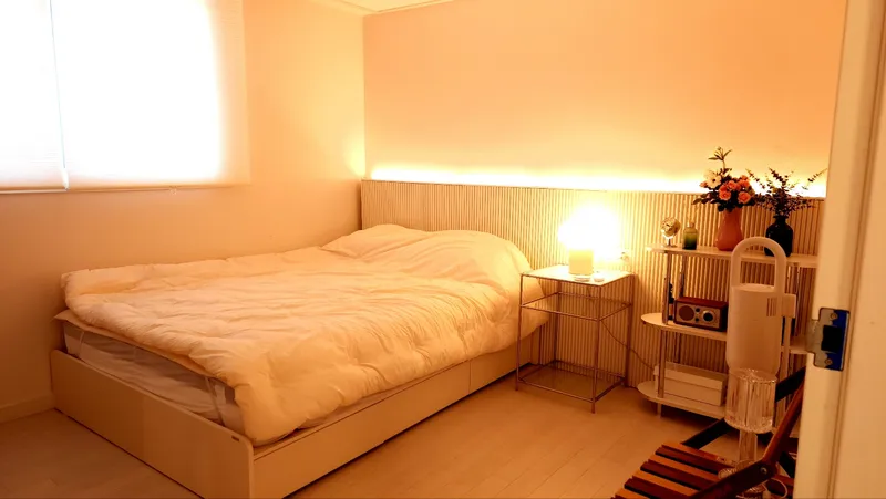 [Gangbuk, Seoul] Emotional Accommodation Mid Century Free OTT Gangbuk-gu Mia-dong 2