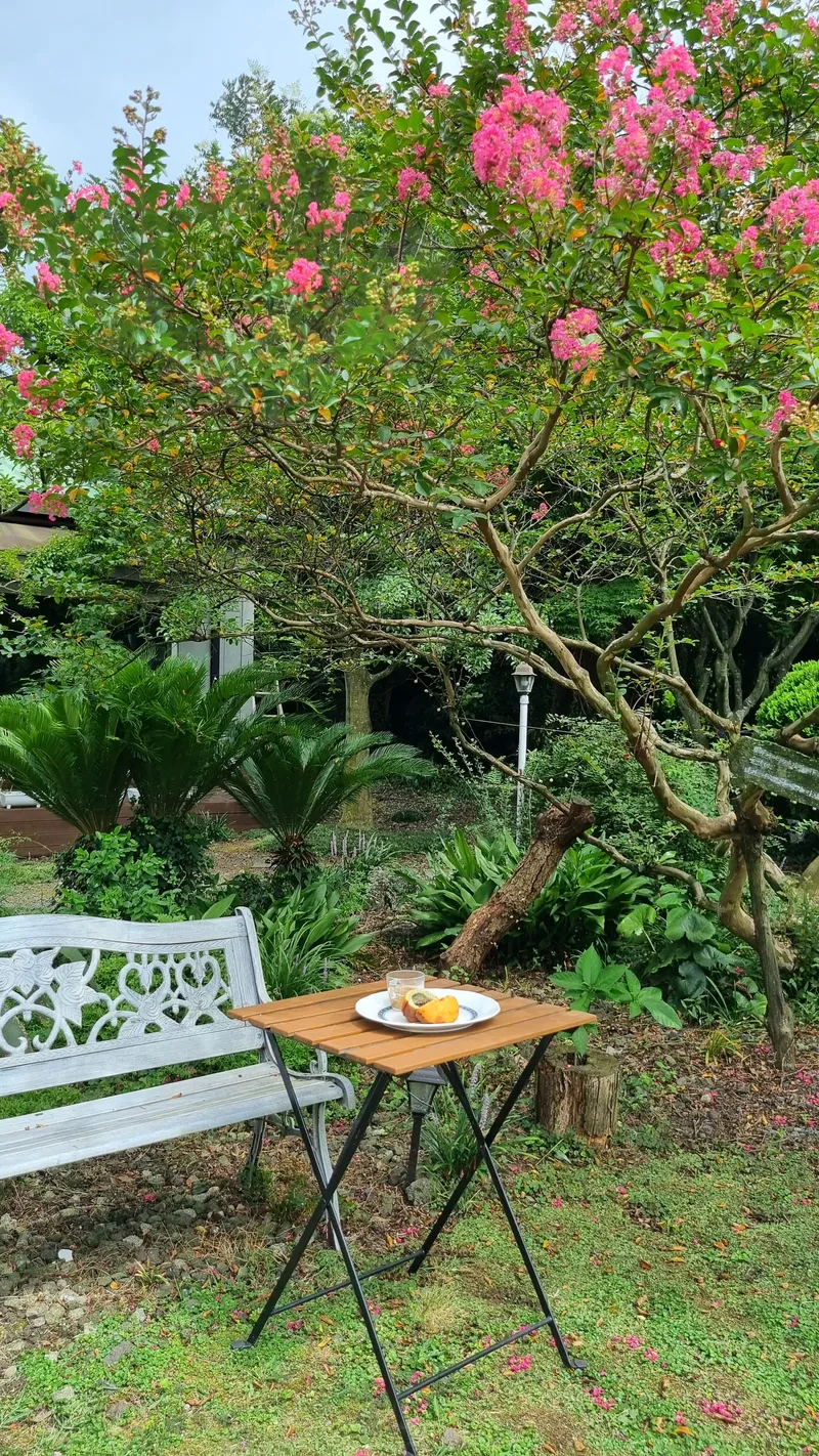 [제주 조천] 대흘샬레 #바농실 7