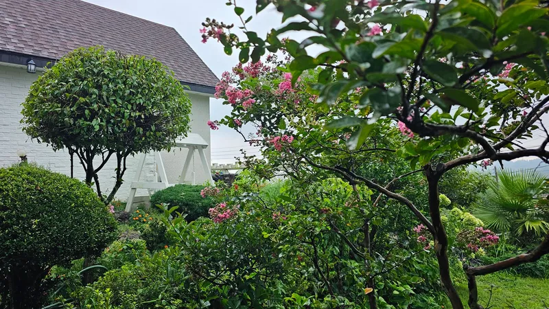 [Aewol, Jeju] Healing accommodation with sunrise and jacuzzi #Newly built accommodation Dalset 66