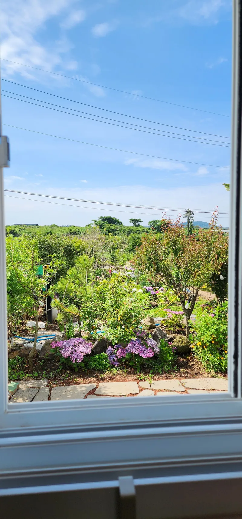 [제주 한림] 마음이 머물다, 작은정원속으로..+협재해수욕장 부근신축독채 17