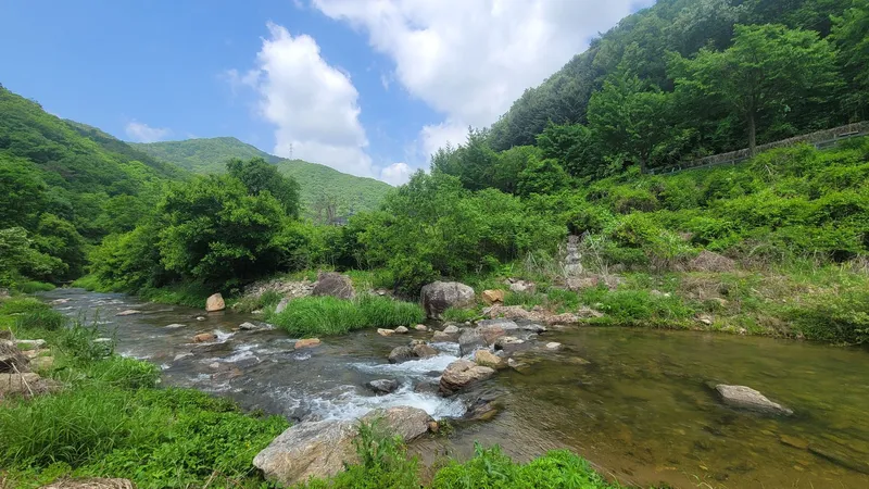 [경기 가평] 프라이빗한 100평 마당이 있는 투룸주택 34