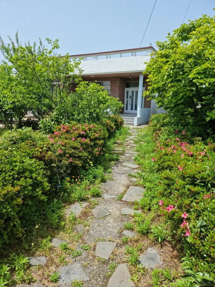 [Hallim, Jeju] Private accommodation with a garden and yard where you can feel the seasons 18