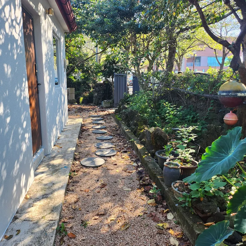 [Sangye-dong, Seogwipo][Chinese] A cozy old house with a jacuzzi on the stone wall cherry blossom road 20
