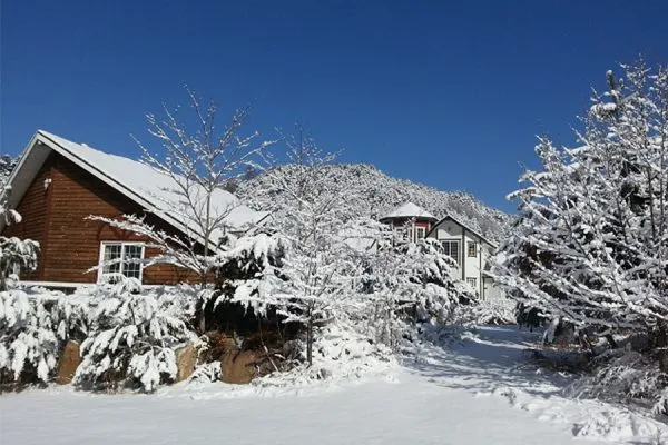 [Pyeongchang] Sarangcho, a wooden pension nestled between Geumdangsan Mountain and Geumdang Valley 2