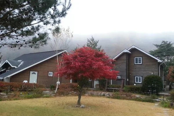 [Pyeongchang] Sarangcho, a wooden pension nestled between Geumdangsan Mountain and Geumdang Valley 3