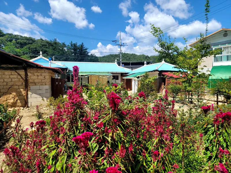 [경북 영주] 촌집독채#반려동물동반#부석사차로10분#계곡물놀이 14
