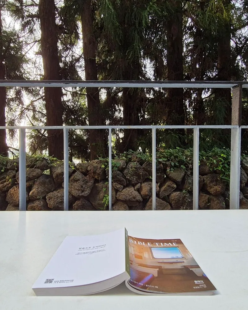 [Topyeong-dong, Seogwipo] (7 days or more) STAY Forest of Silence #1st floor terrace #Forest #Cedar stone wall forest [Seogwipo] 52