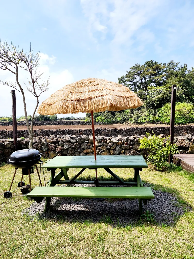 [Gujwa, Jeju] "Jeju Hado Badang" Hado Beach, Udo Island, Seongsan Ilchulbong Peak, Bijarim Forest, Seopjikoji, Jimanjanggul Cave 50