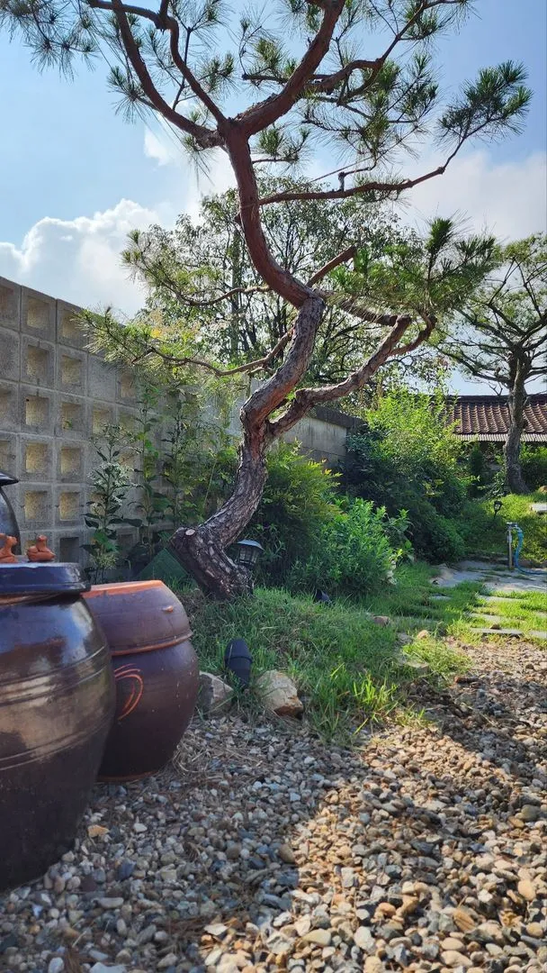 [Nonsan][Nonsan Yangchon] #Pets allowed #Spacious lawn #Sunlit view from large windows #Independent vacation home 29