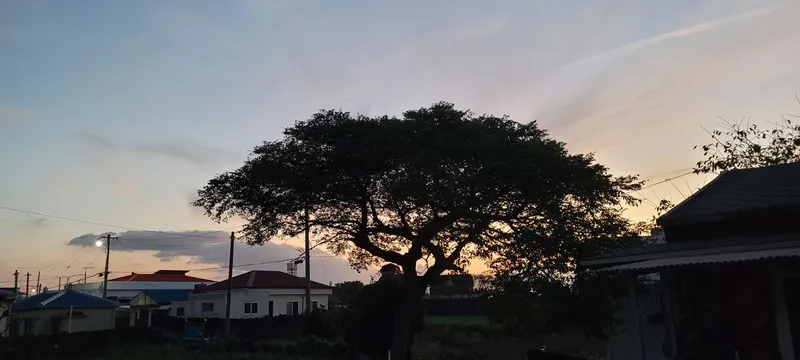[Hangyeong, Jeju] West Country House 17