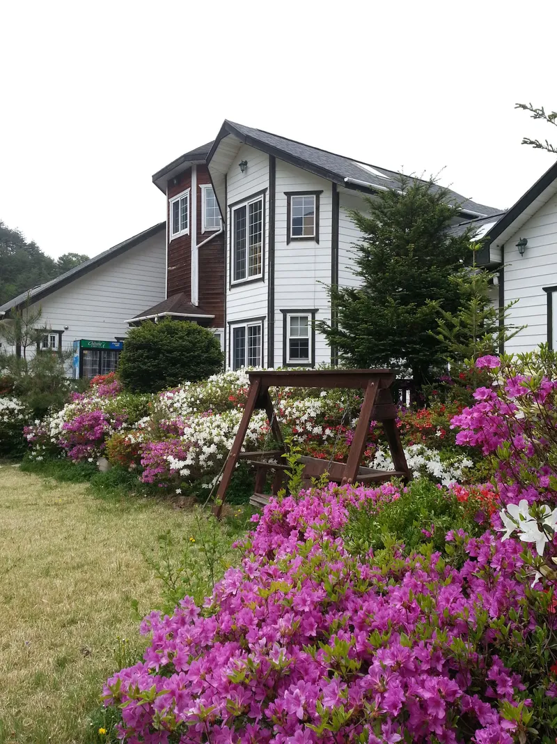 [강원 평창] 금당산과 금당계곡이 아우러진 목조 펜션 물양지 2