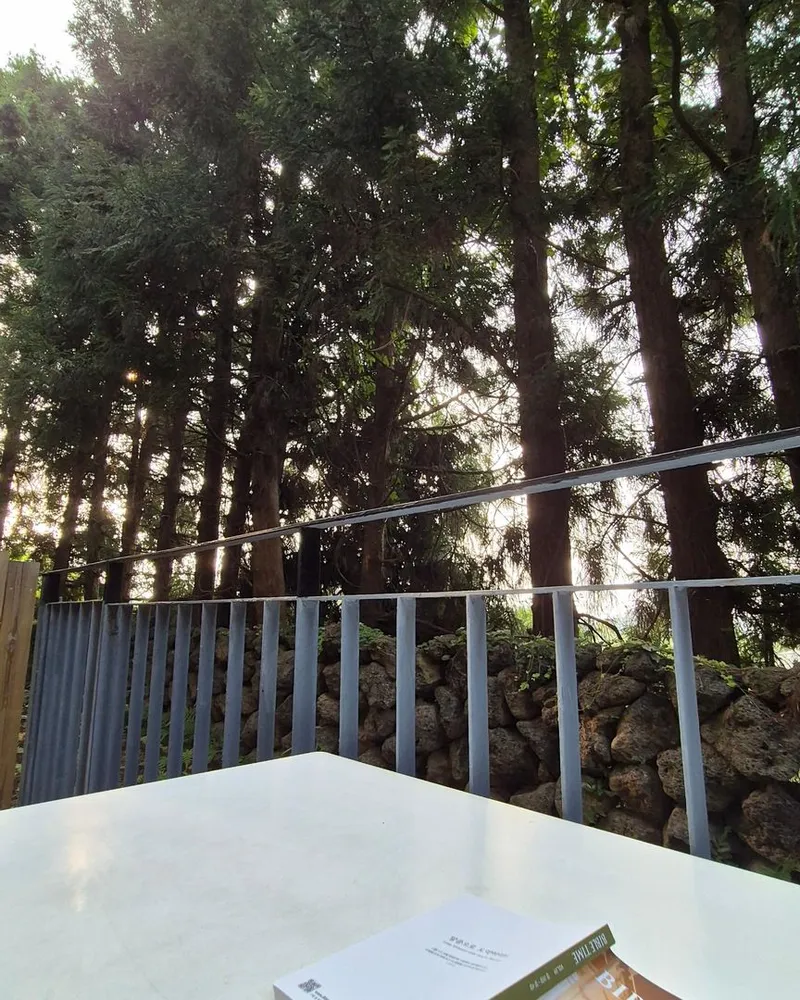 [Topyeong-dong, Seogwipo] (7 days or more) STAY Forest of Silence #1st floor terrace #Forest #Cedar stone wall forest [Seogwipo] 53