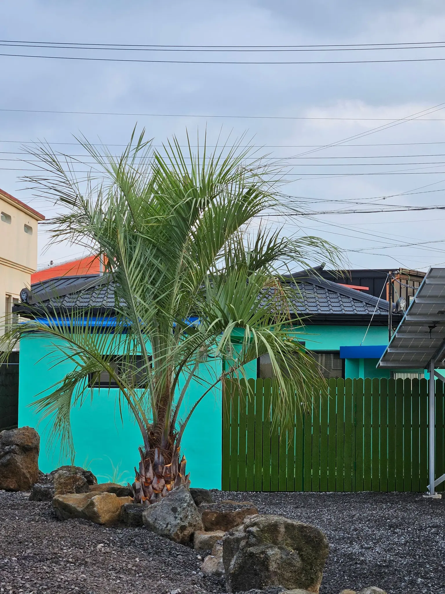 济州涯月 涯月港附近乡村安静的独立住宅 - main image