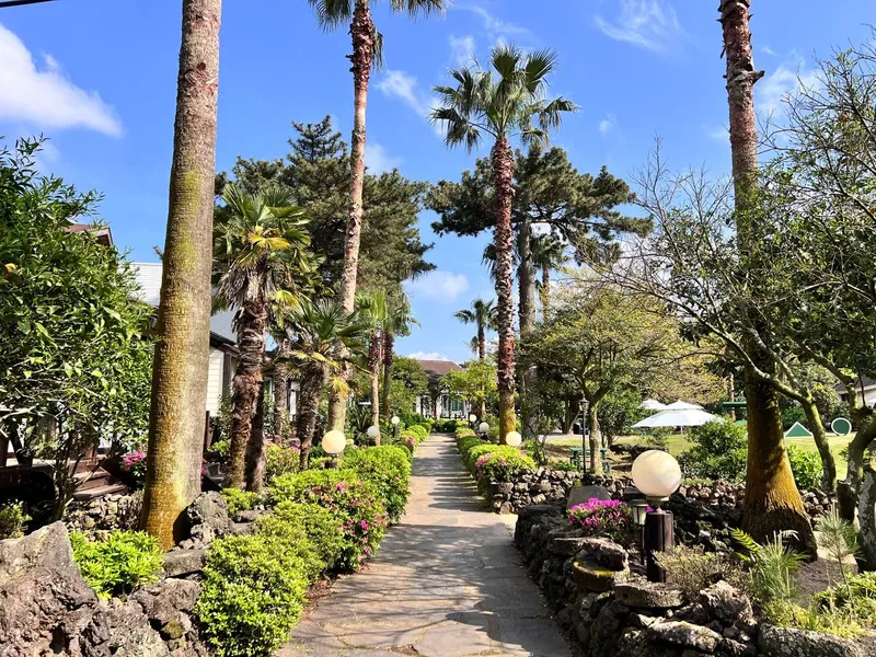 [Gujwa, Jeju] One-room apartment in Sehwa Forest with a large garden #Dogs allowed 12